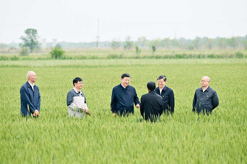 2023年5月11日至12日,中共中央总书记、国家主席、中央军委主席习近平在河北考察,并主持召开深入推进京津冀协同发展座谈会。这是11日上午,习近平在沧州市黄骅市旧城镇仙庄片区旱碱地麦田考察时,同种植户、农技专家亲切交流。 新华社记者 殷博古/摄