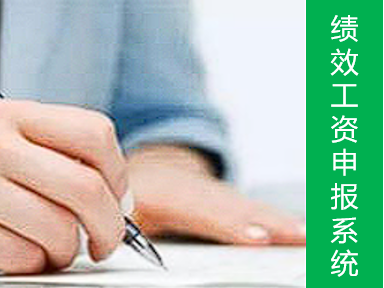 绩效工资申报查询系统